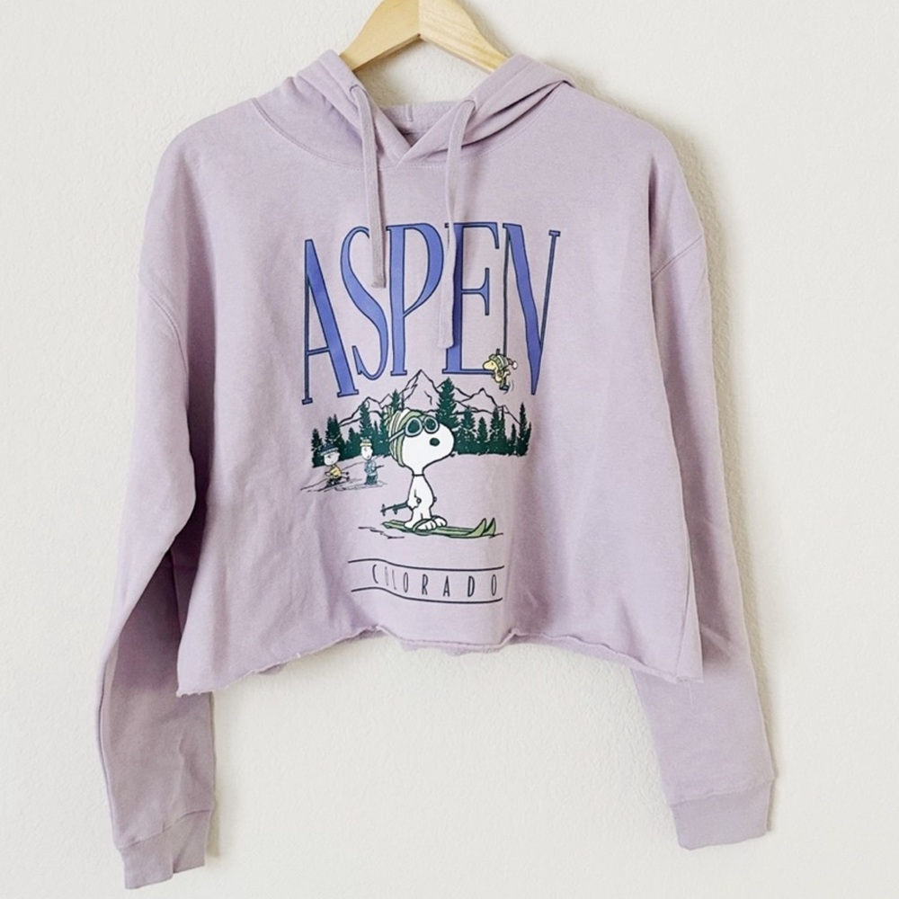 NWOT Aspen Colorado Graphic Hoodie